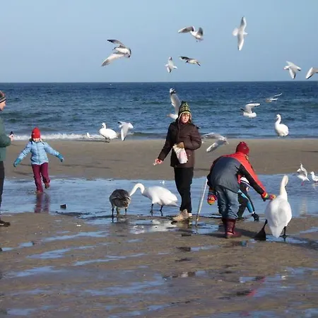 Vendégház Haus Seefrieden 2*