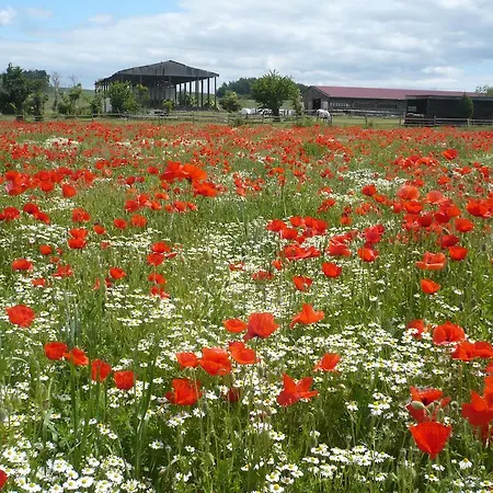 Vendégház Haus Seefrieden Boltenhagen